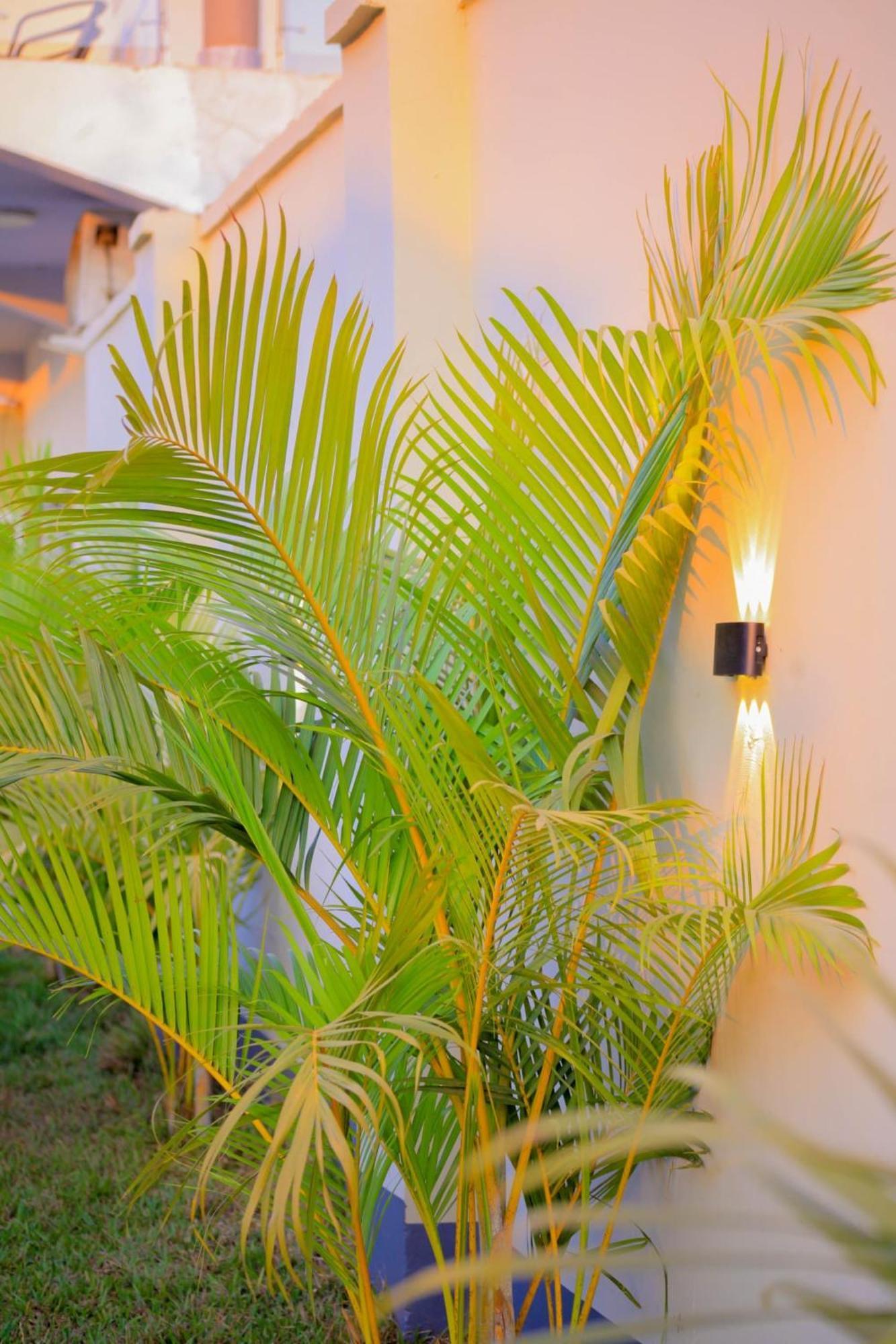 Owandja House Lubumbashi Hotel Buitenkant foto